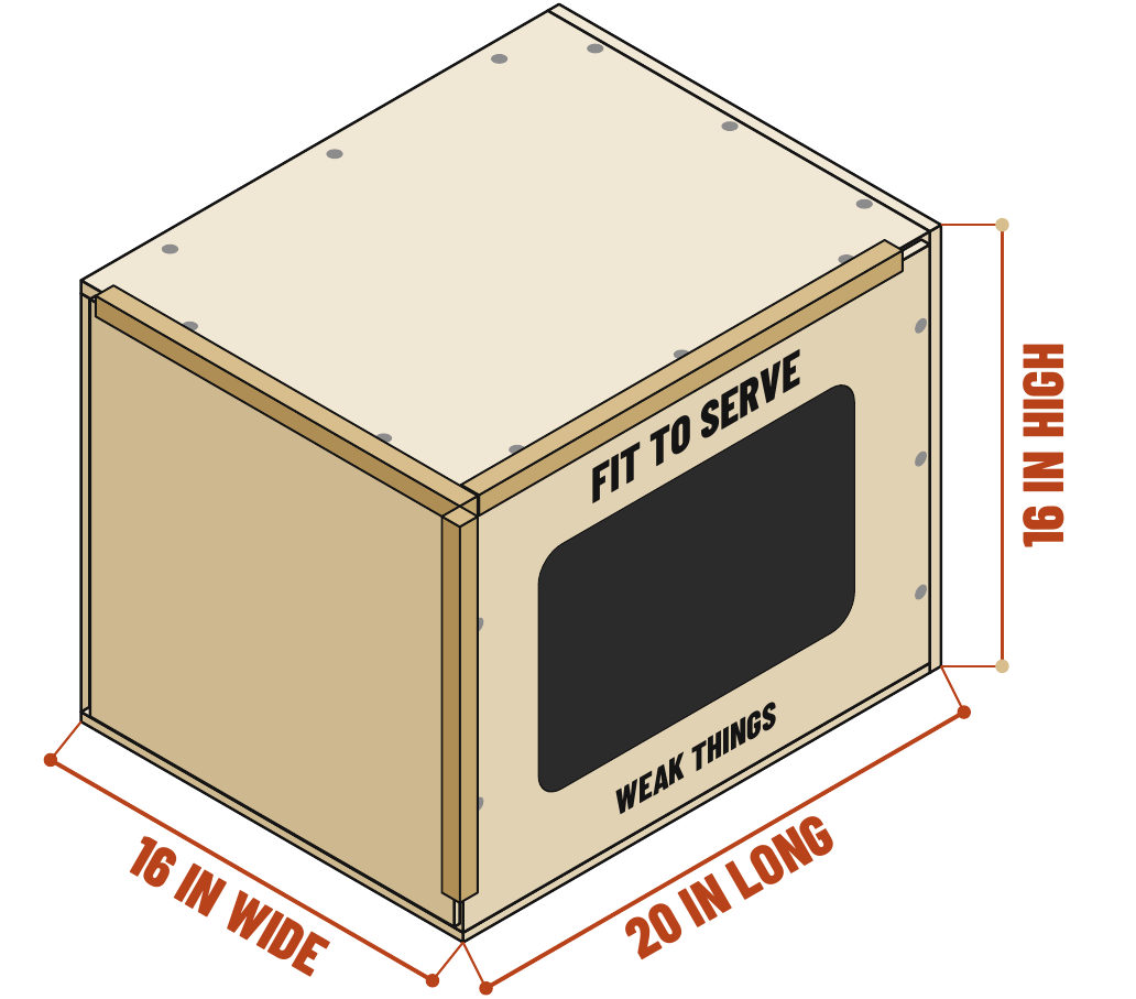 Drawing of the assembled travel step-up box, 16 inches high, 20 inches long and 16 inches wide