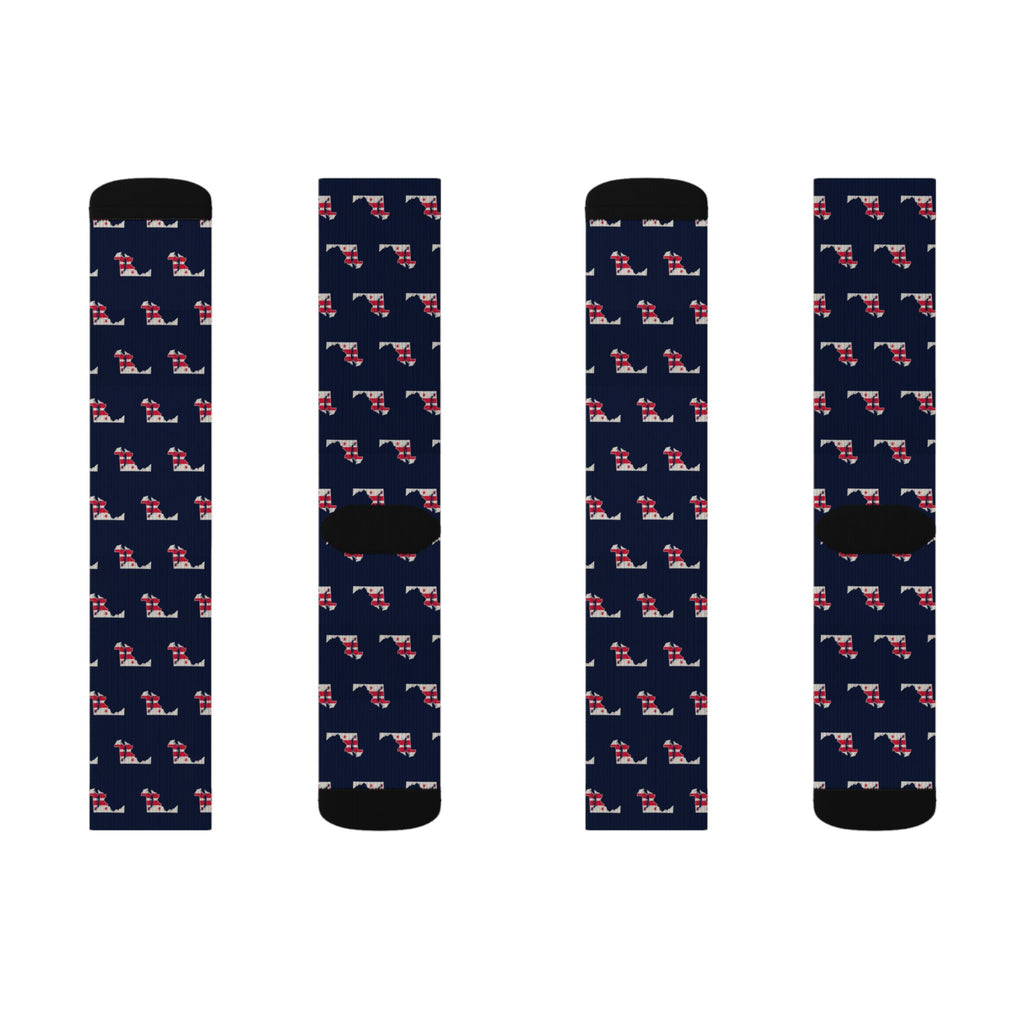 Washington DC North Mission Flag Map Socks