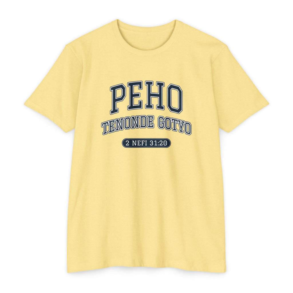 Press Forward shirt in Guarani on Banana Cream: “PEHO TENONDE GOTYO”, 2 Nefi 31:20