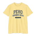 Press Forward shirt in Guarani on Banana Cream: “PEHO TENONDE GOTYO”, 2 Nefi 31:20