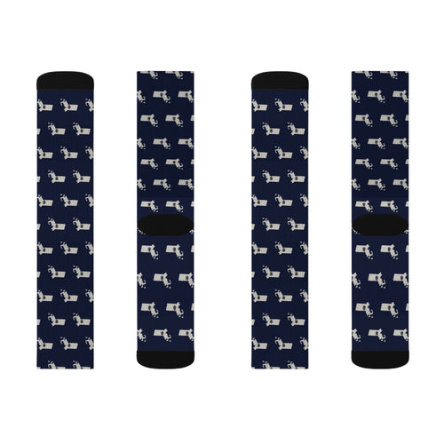 Massachusetts Mission Flag Map Socks