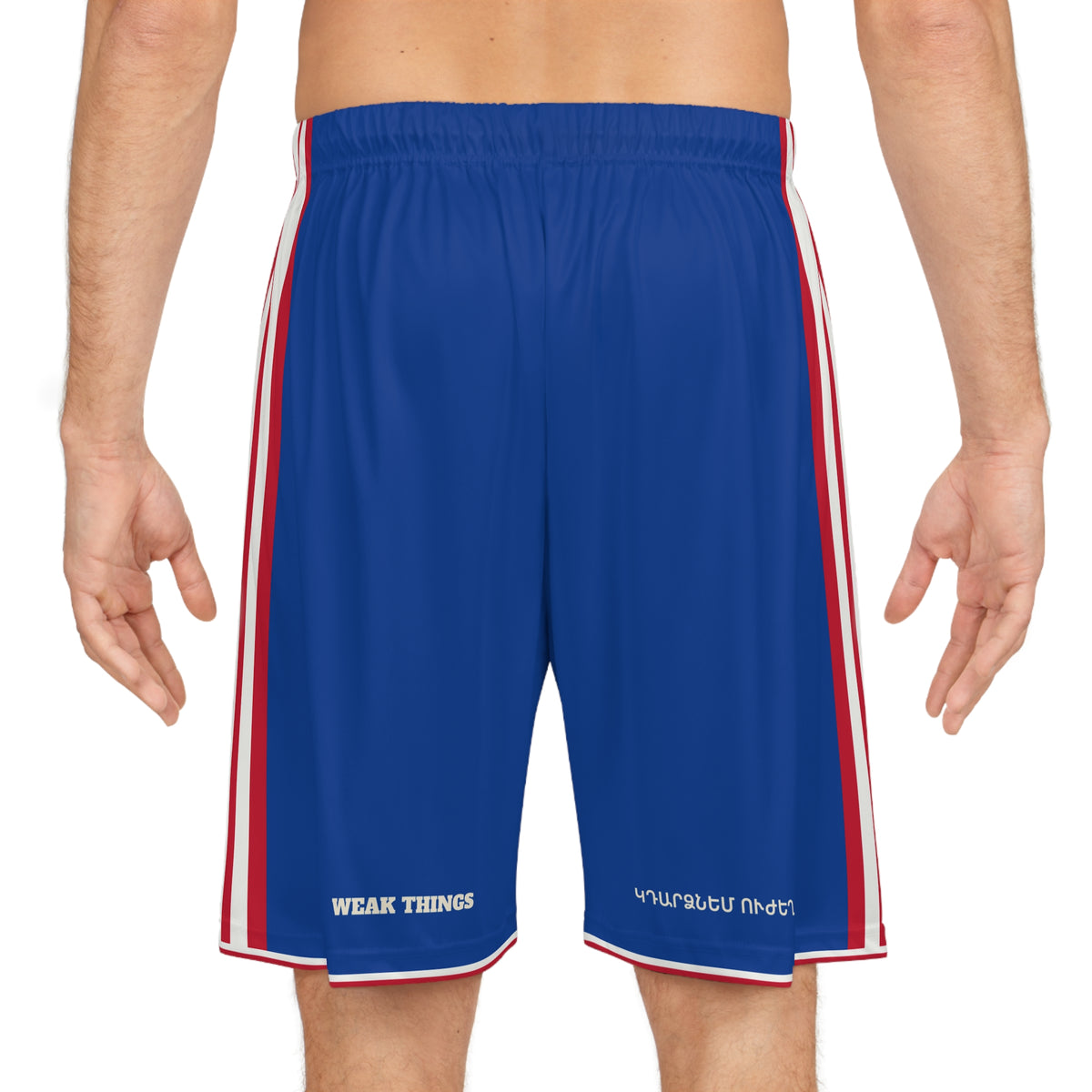 Armenia/Georgia Mission Basketball Shorts, worn, back view