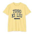 Press Forward Shirt – Fijian