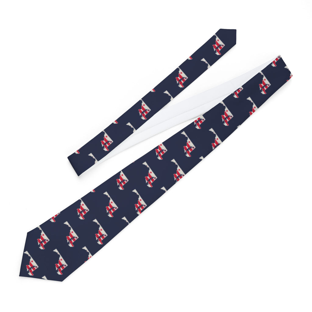 Washington DC North Mission Flag Map Tie