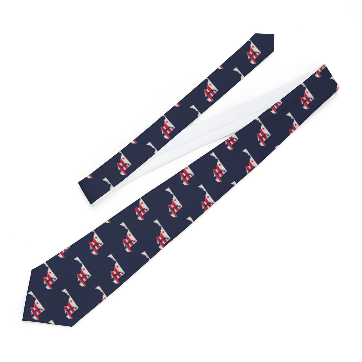 Washington DC North Mission Flag Map Tie