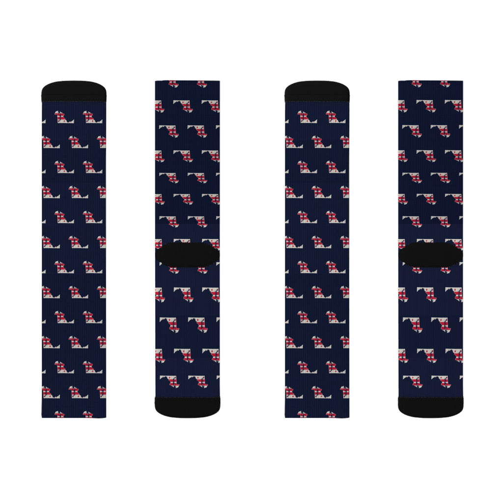 Washington DC North Mission Flag Map Socks