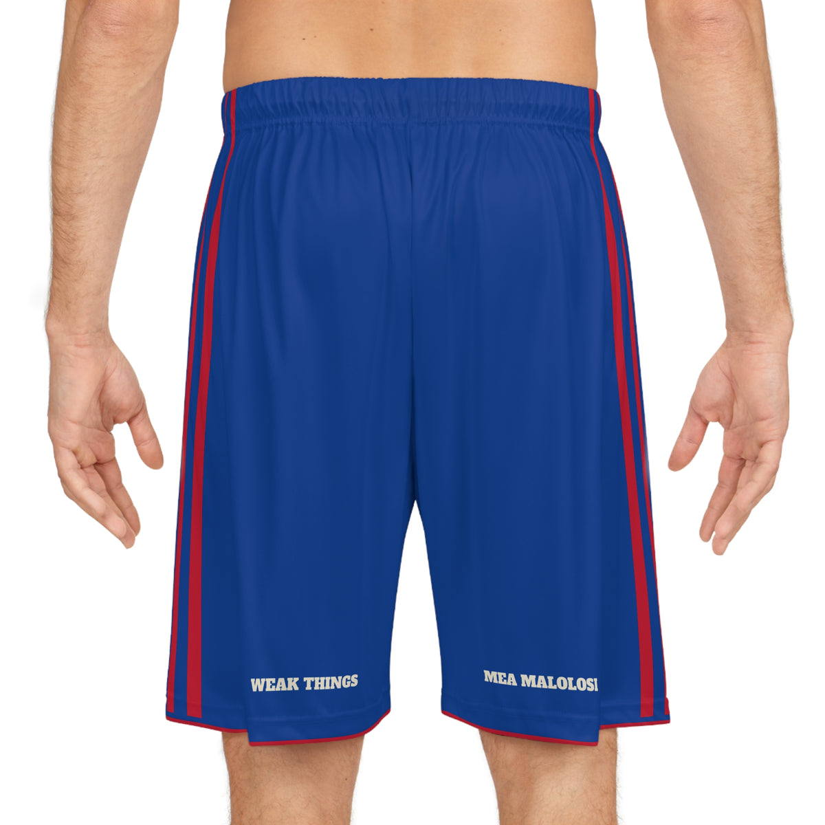 Samoa Apia West Mission Basketball Shorts, worn, back view