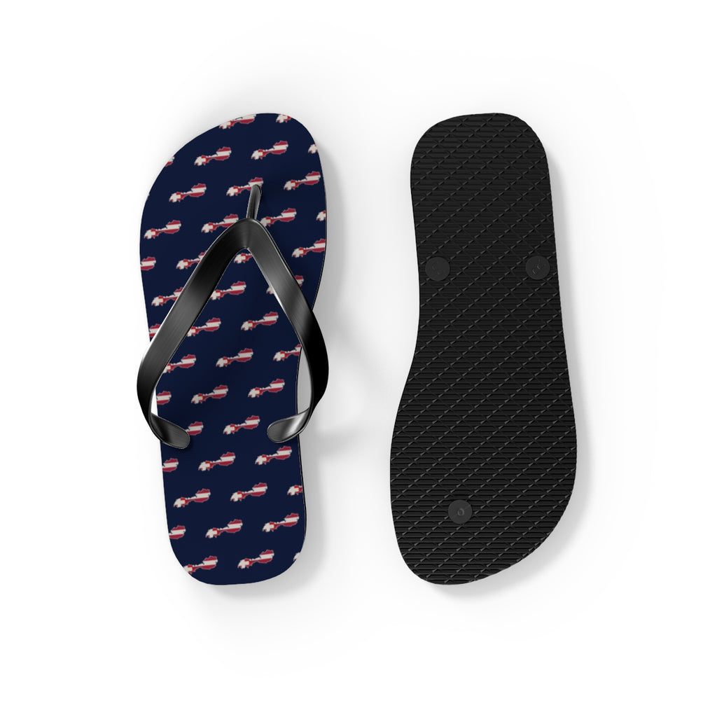 Alpine German-Speaking Mission flag map flip flops by Weak Things view 4