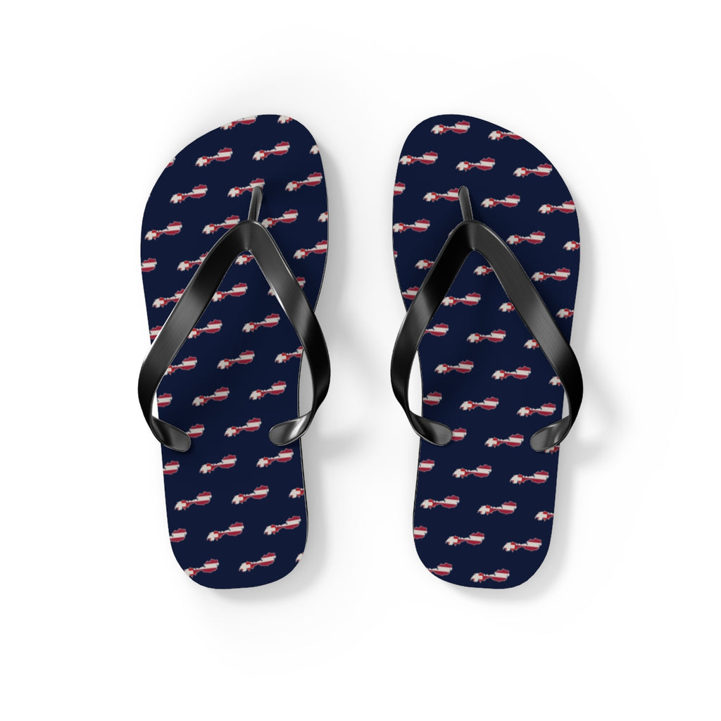 Alpine German-Speaking Mission flag map flip flops by Weak Things view 2