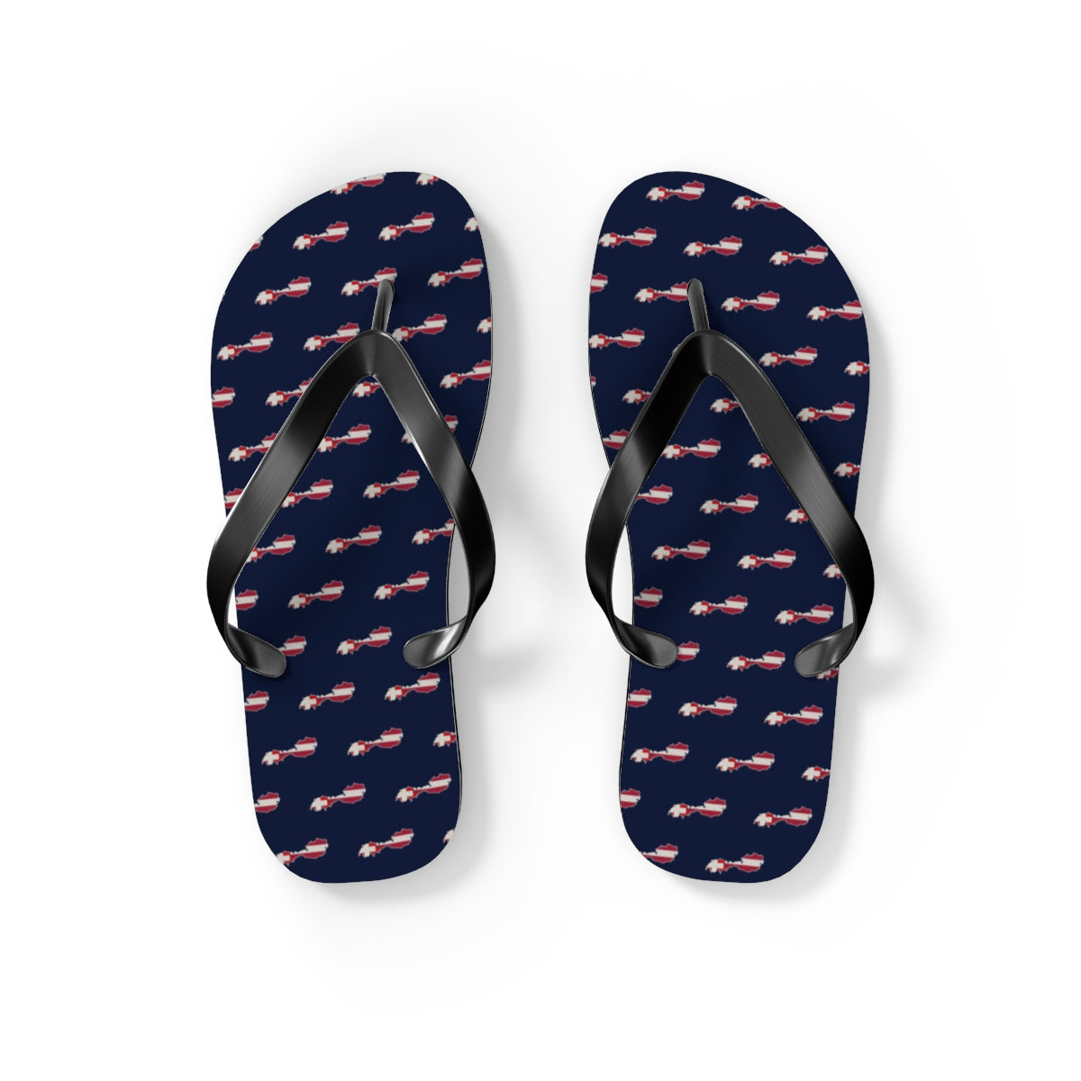 Alpine German-Speaking Mission flag map flip flops by Weak Things view 2