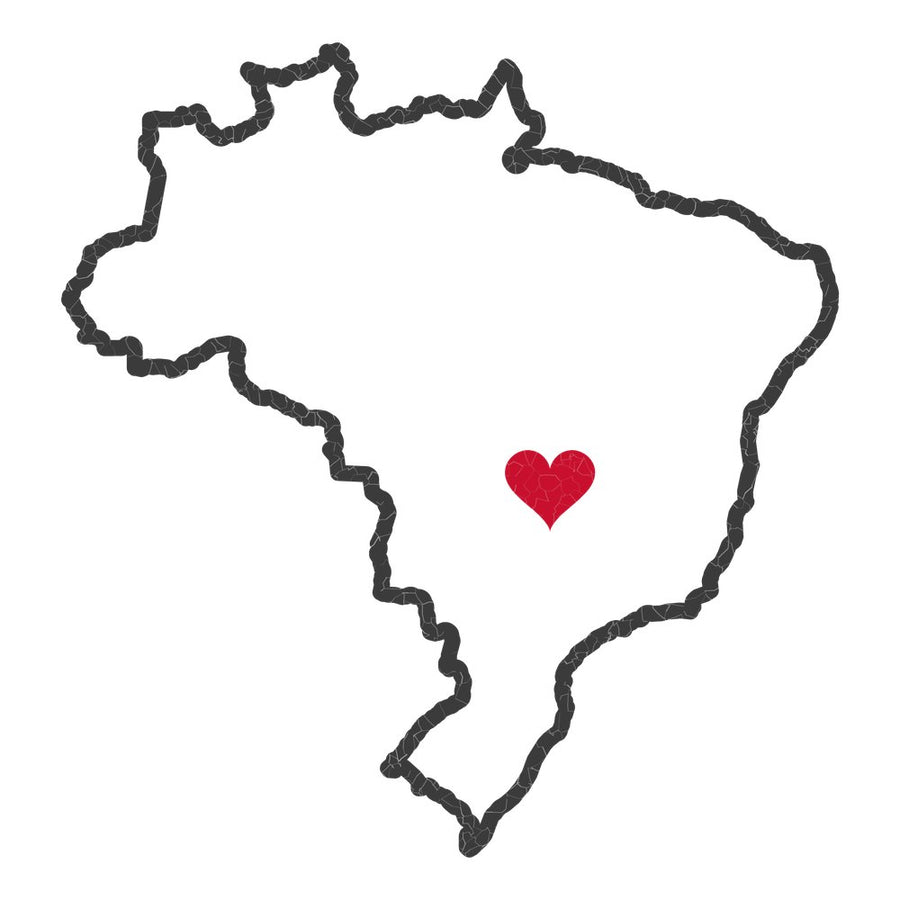 Brazil Goiania Mission Heart Map design