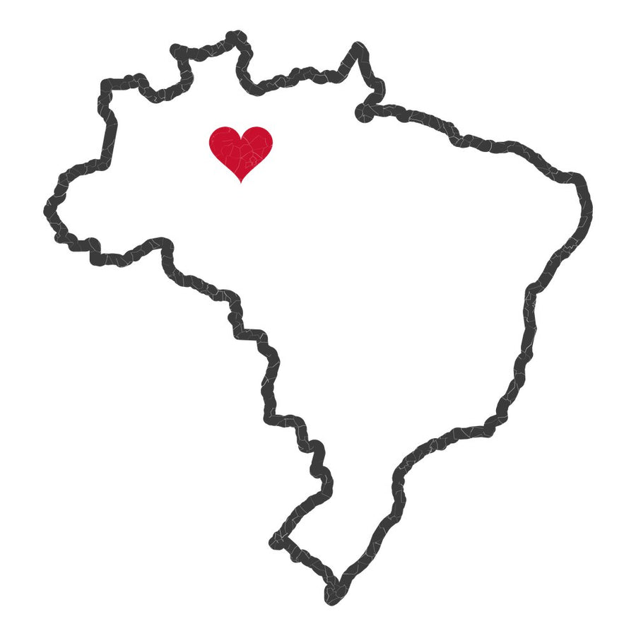 Brazil Manaus North Mission Heart Map design