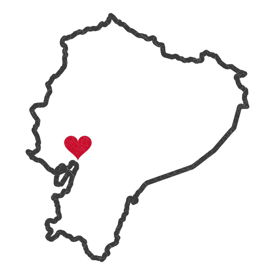 Ecuador Guayaquil East Mission Heart Map design