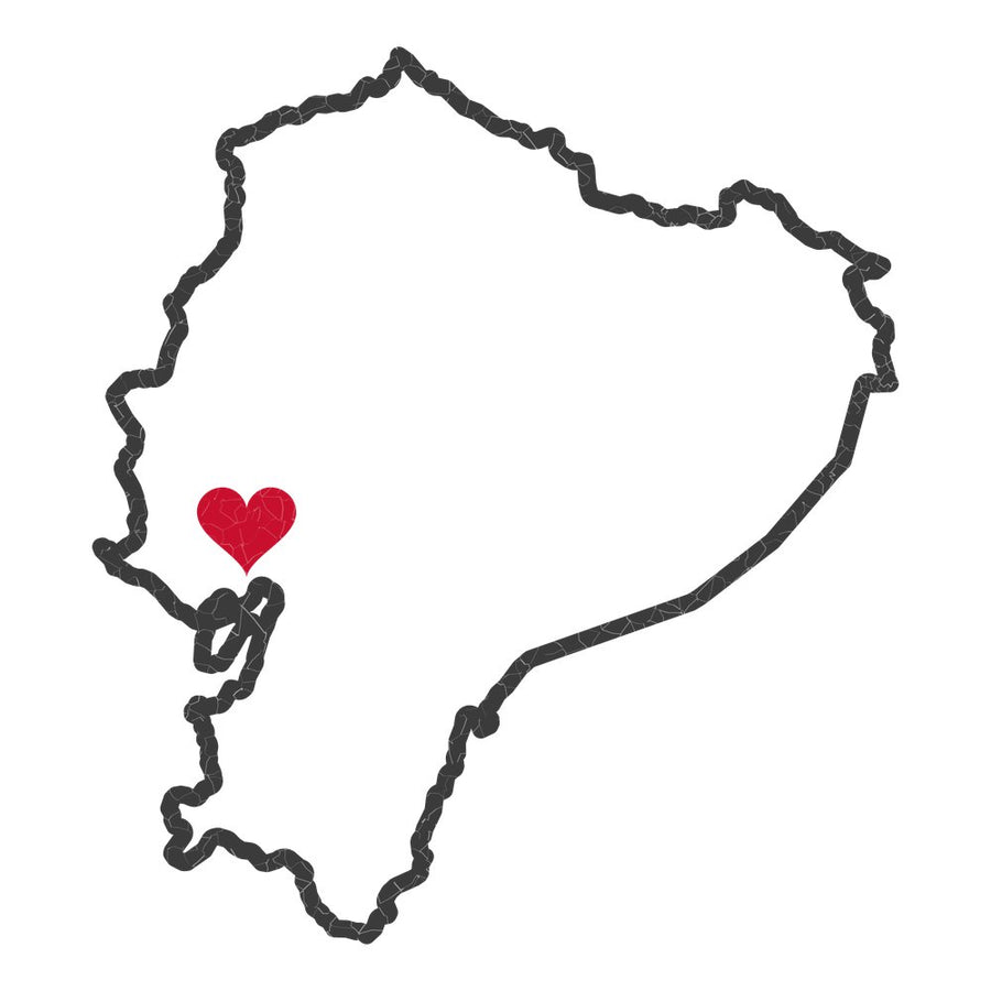 Ecuador Guayaquil North Mission Heart Map design