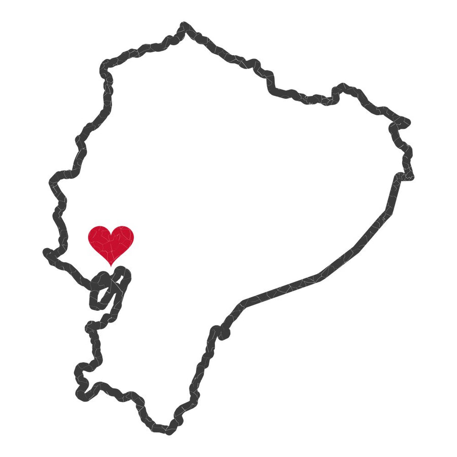 Ecuador Guayaquil South Mission Heart Map design