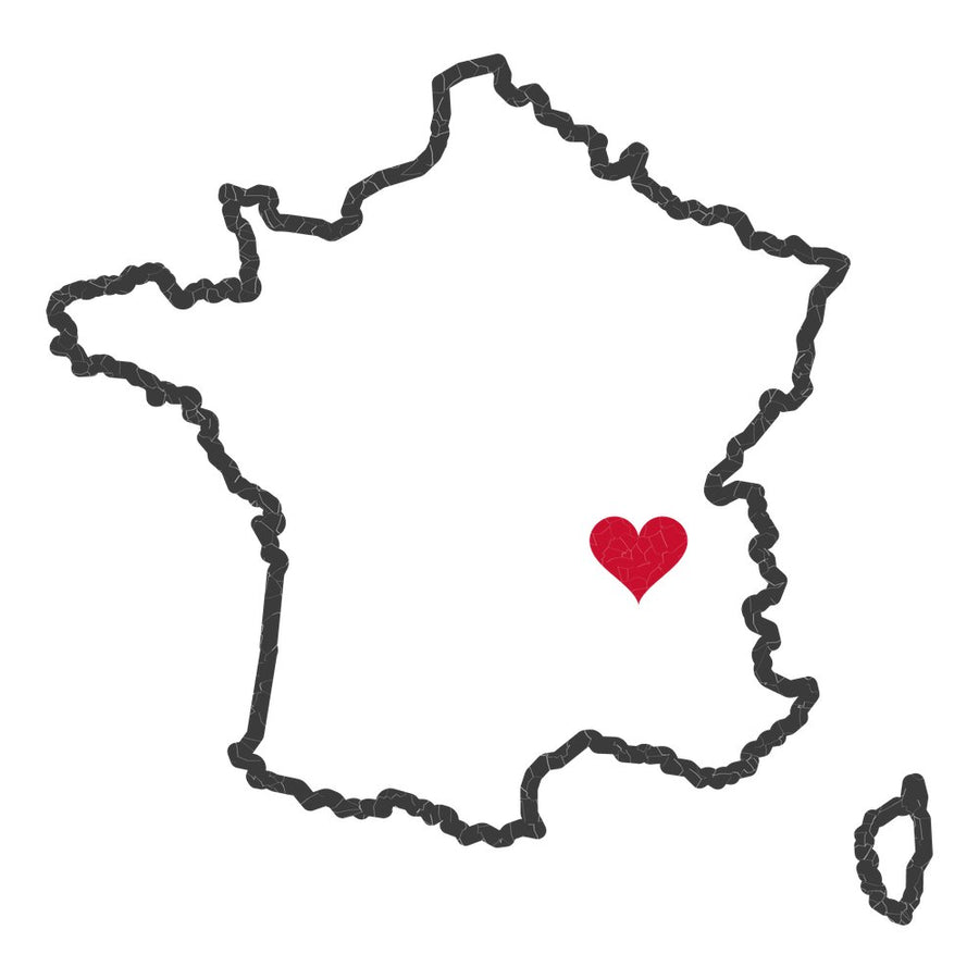 France Lyon Mission Heart Map design