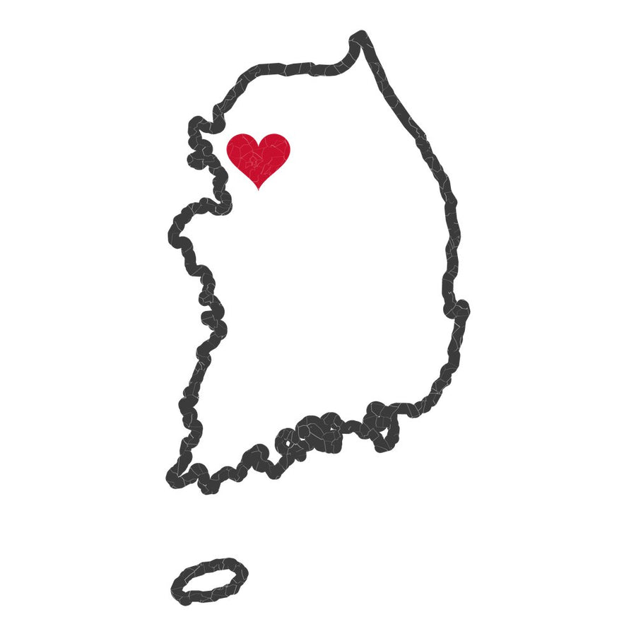 Korea Seoul South Mission Heart Map design