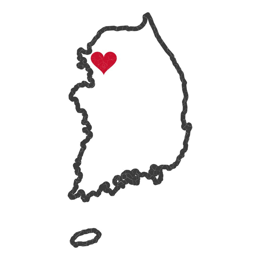 Korea Seoul Mission Heart Map design