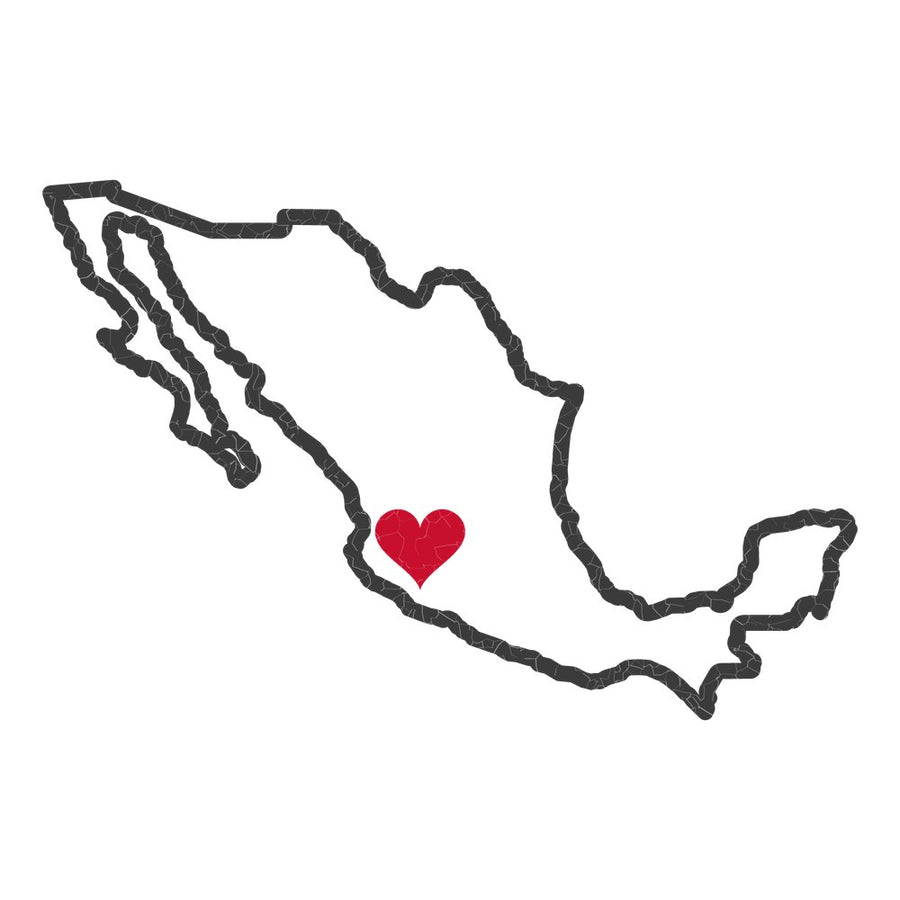 Mexico Guadalajara East Mission Heart Map design