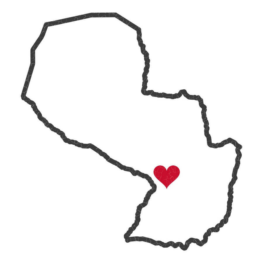 Paraguay Asuncion South Mission Heart Map design