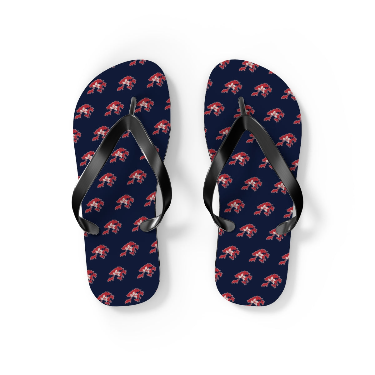 Hong Kong Mission flag map flip flops by Weak Things view 2