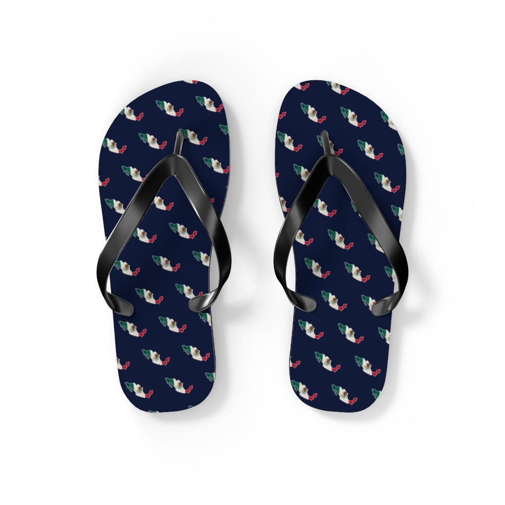 Mexico Mission flag map flip flops by Weak Things view 2