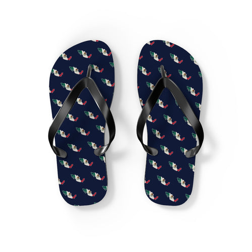 Mexico Mission flag map flip flops by Weak Things view 2