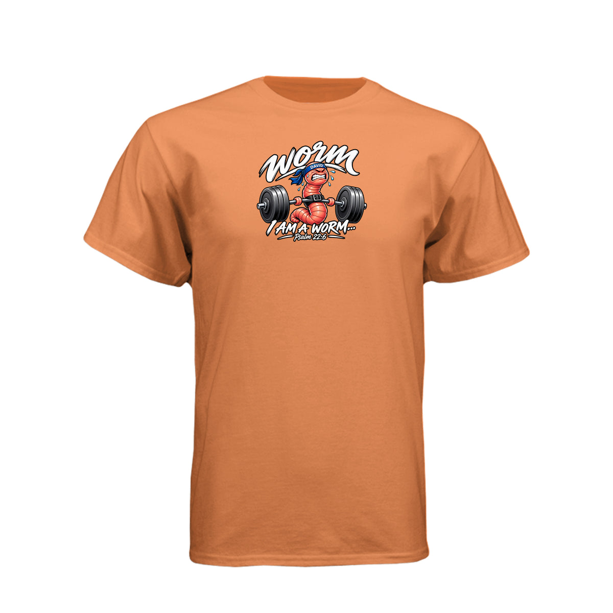 David I Am Not A Worm LDS t-shirt featuring biblical psalm about identity and worth in God - product view 8