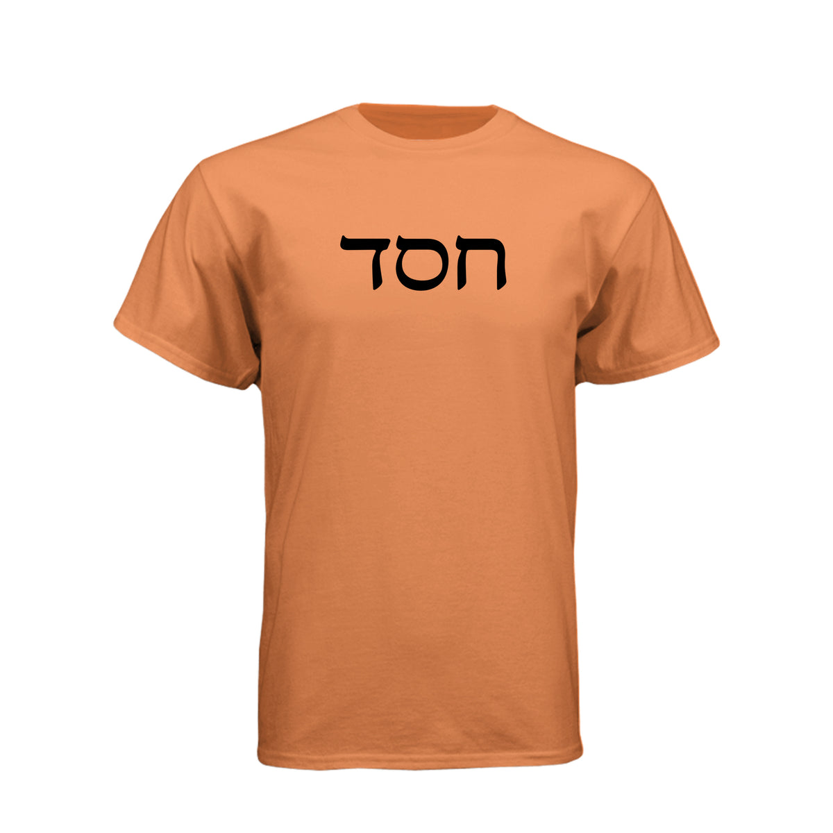 Hesed Covenantal Love LDS t-shirt featuring Hebrew concept of God's lovingkindness and covenant - product view 9