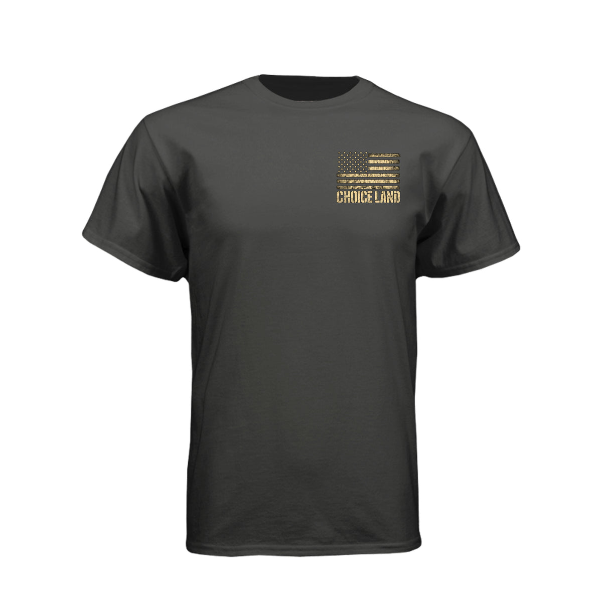 Choice Land 1 Nephi 2:20 LDS t-shirt featuring Book of Mormon scripture about the promised land