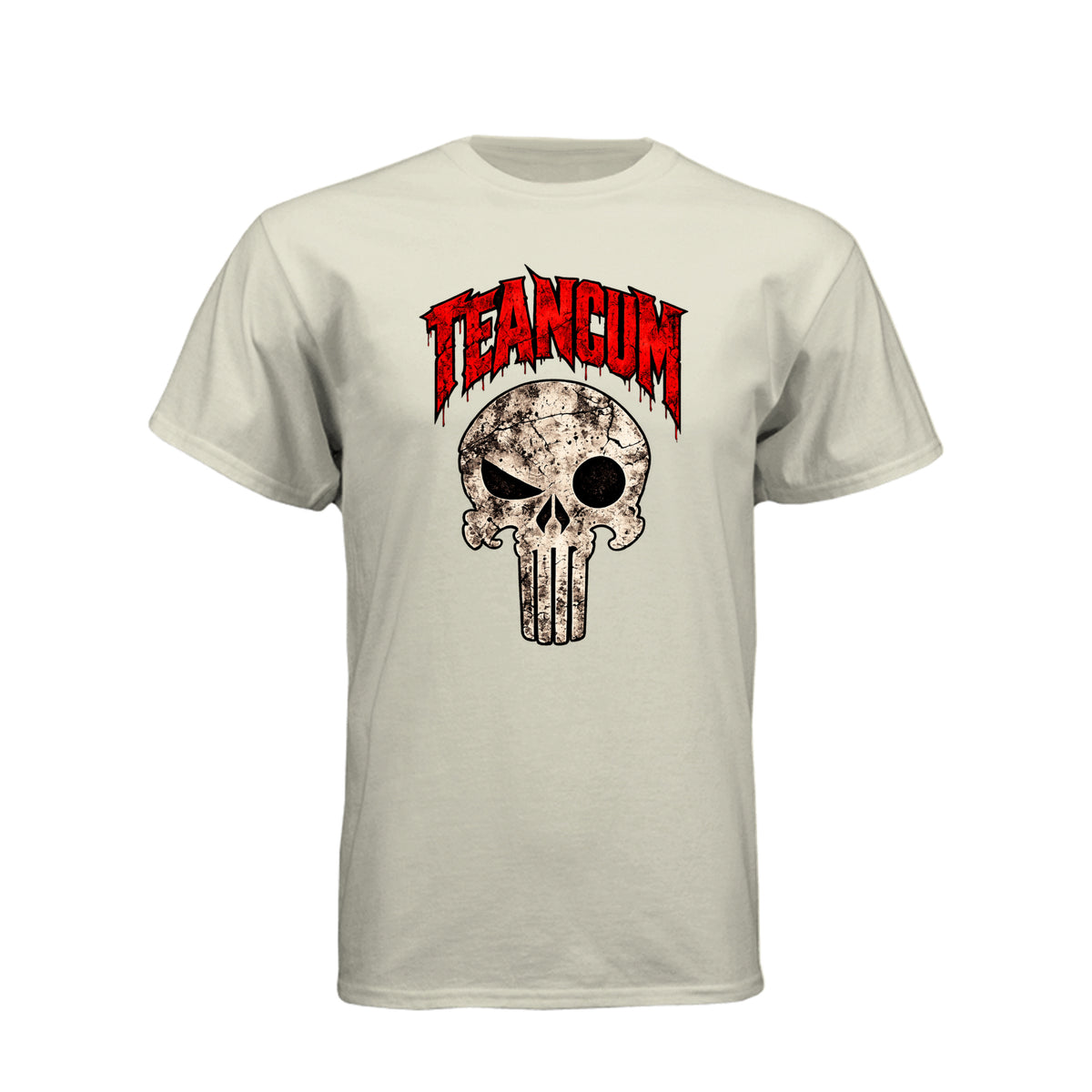 Teancum The Original Assassin LDS t-shirt featuring Book of Mormon warrior and courage theme