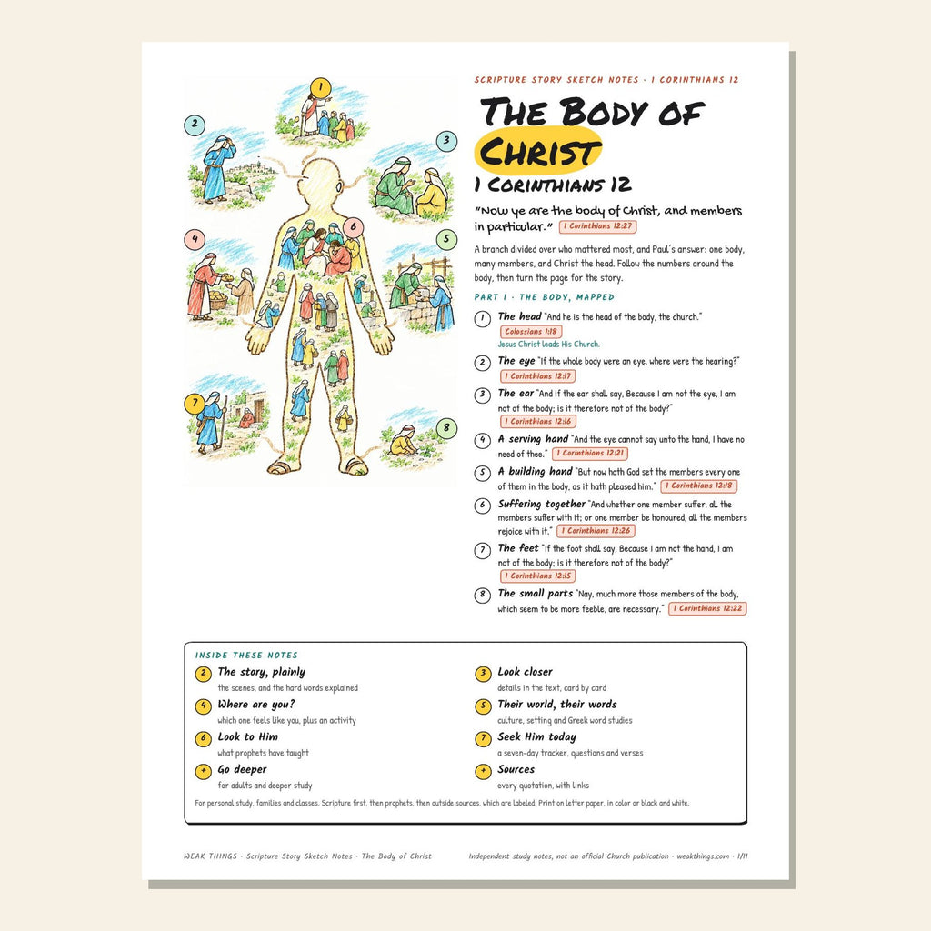 The Body of Christ sketch notes cover with a hand-drawn body map