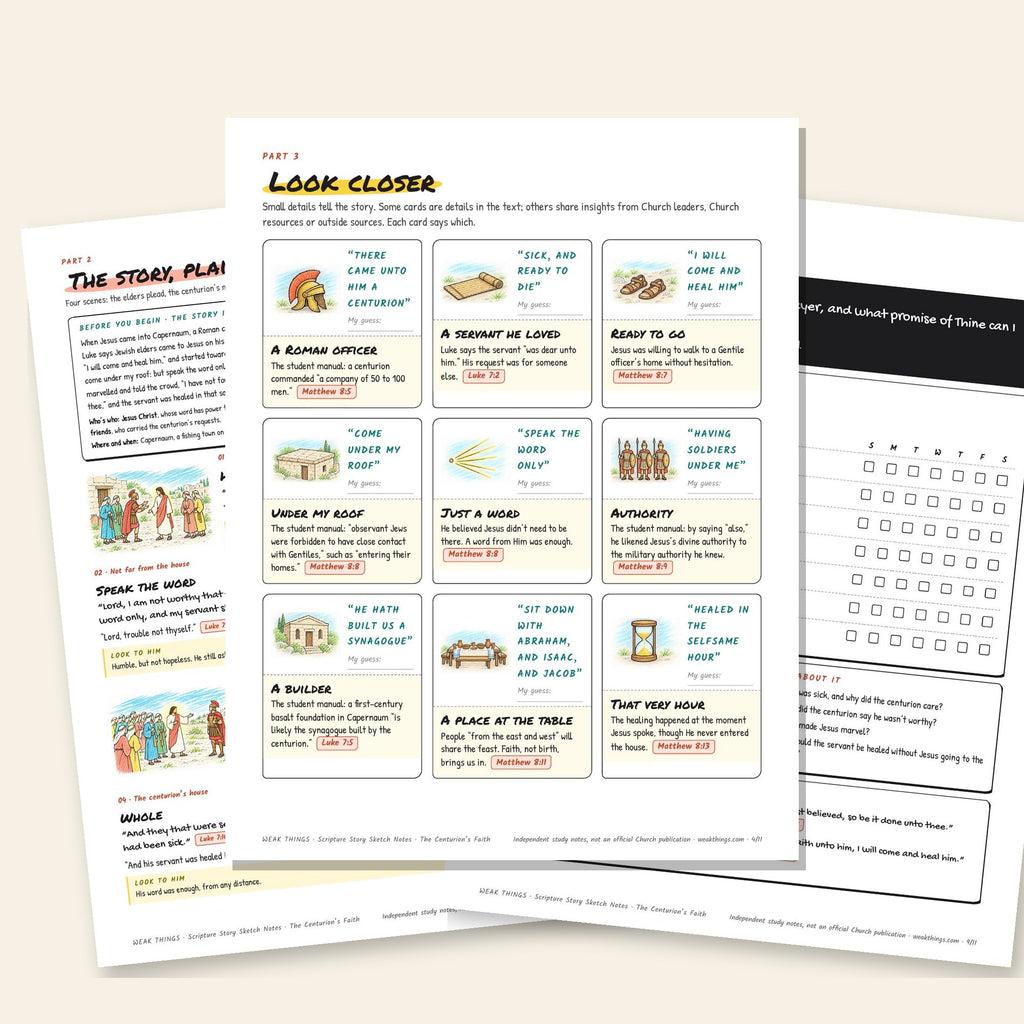 Three inside pages: the story, the detail cards and the seven-day tracker