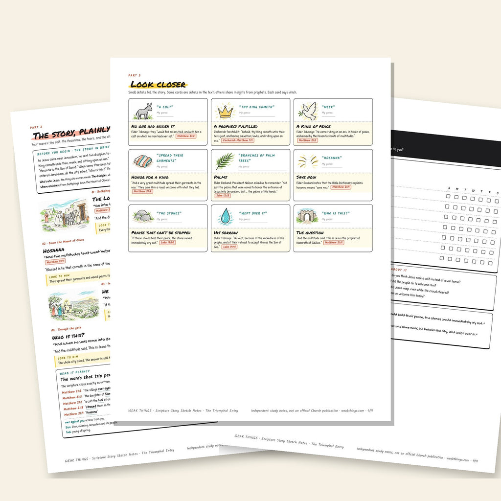Three inside pages: the story, the detail cards and the seven-day tracker