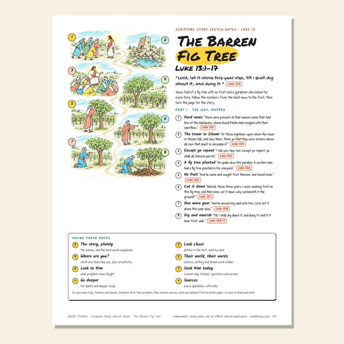 The Barren Fig Tree sketch notes cover with a hand-drawn map