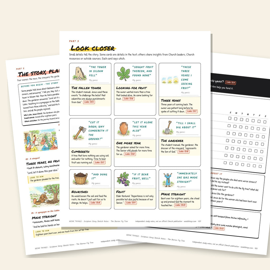 Three inside pages: the story, the detail cards and the seven-day tracker