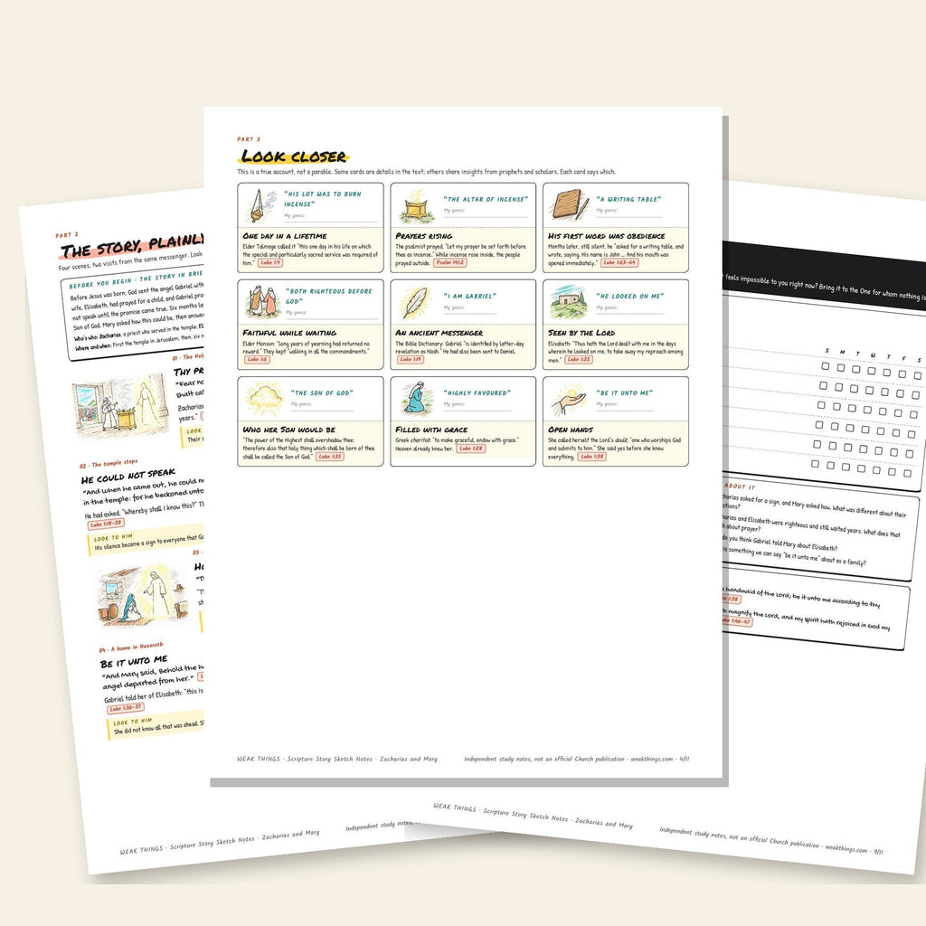 Three inside pages: the story, the detail cards and the seven-day tracker