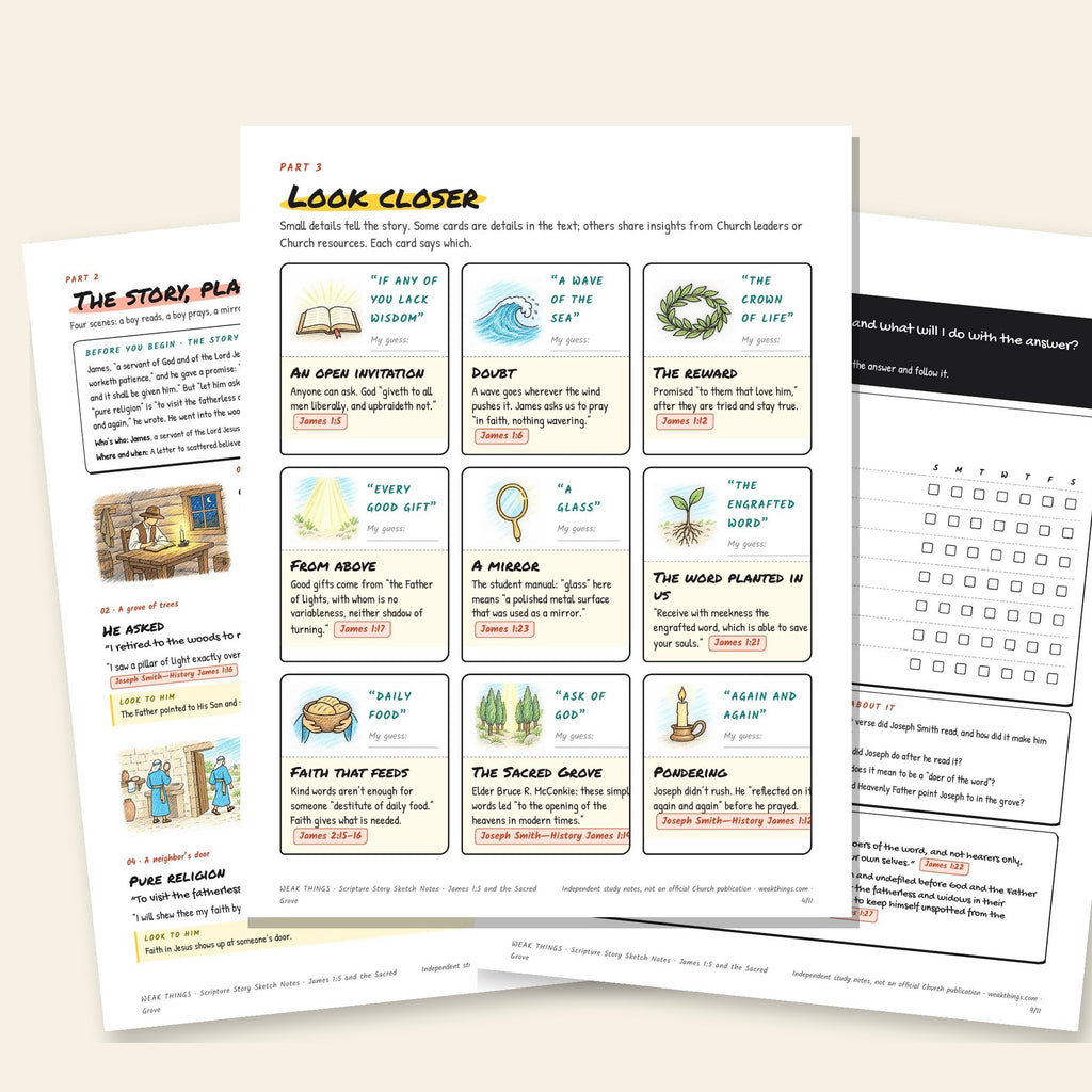 Three inside pages: the story, the detail cards and the seven-day tracker