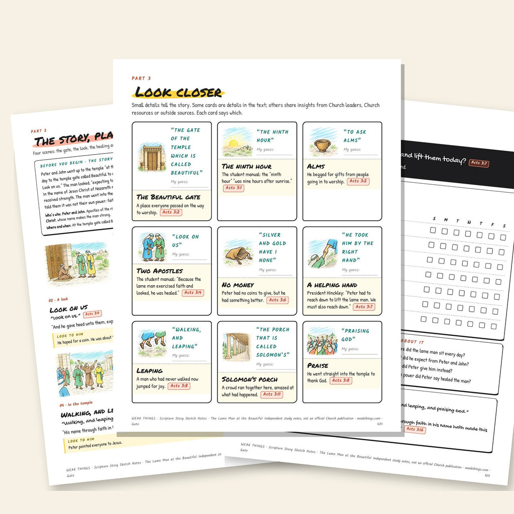 Three inside pages: the story, the detail cards and the seven-day tracker