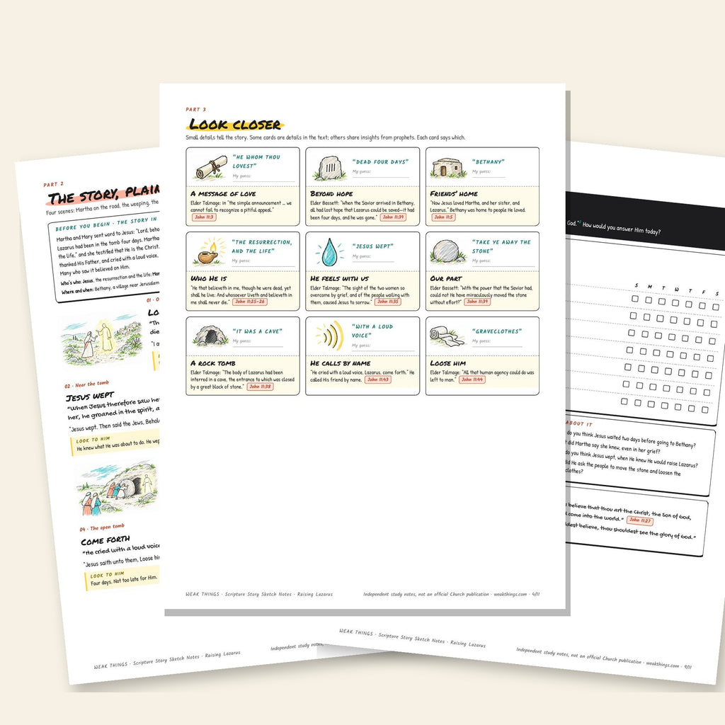Three inside pages: the story, the detail cards and the seven-day tracker