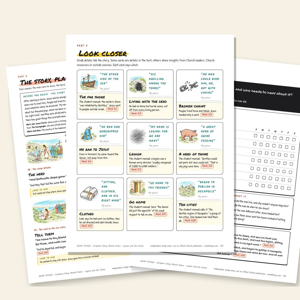 Three inside pages: the story, the detail cards and the seven-day tracker