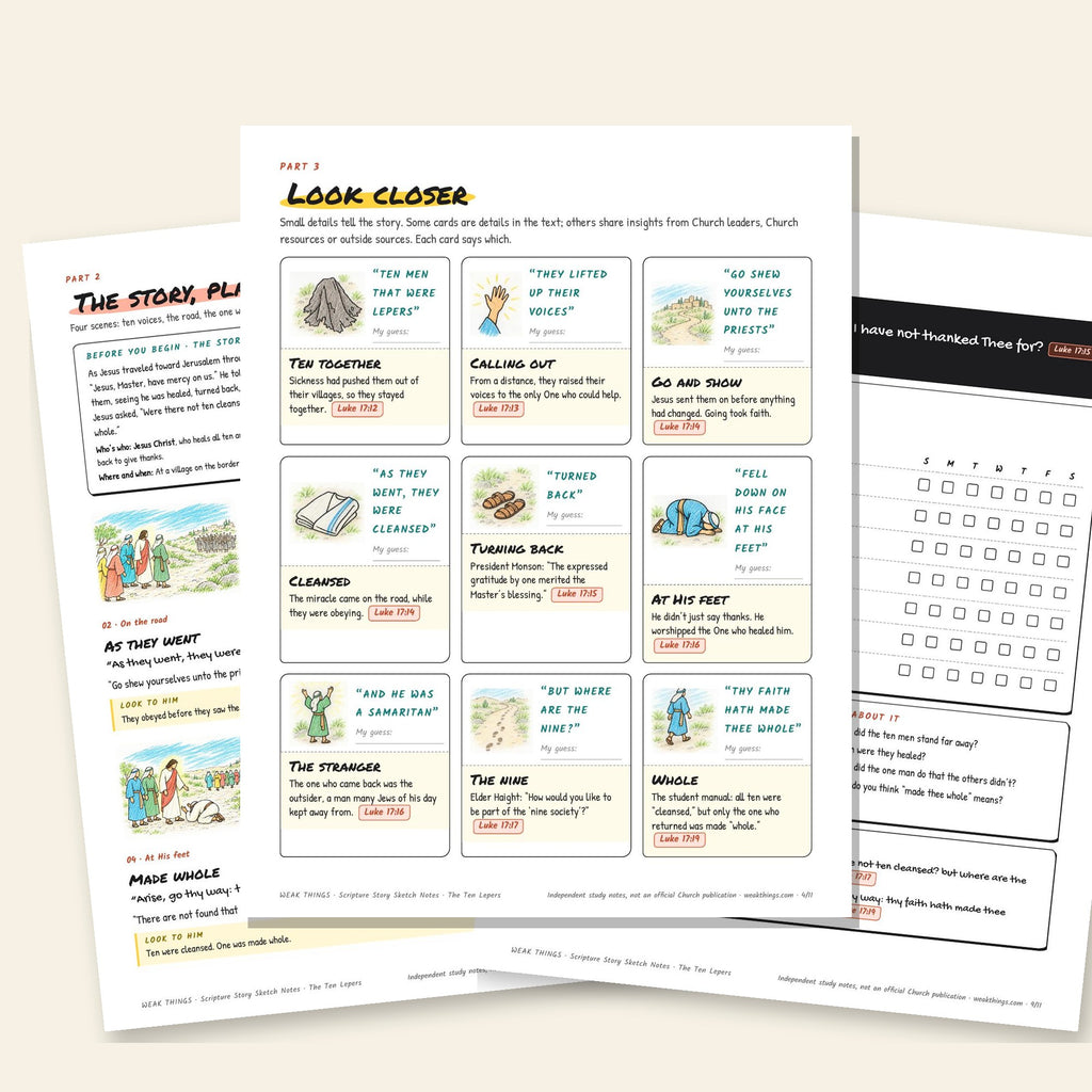 Three inside pages: the story, the detail cards and the seven-day tracker