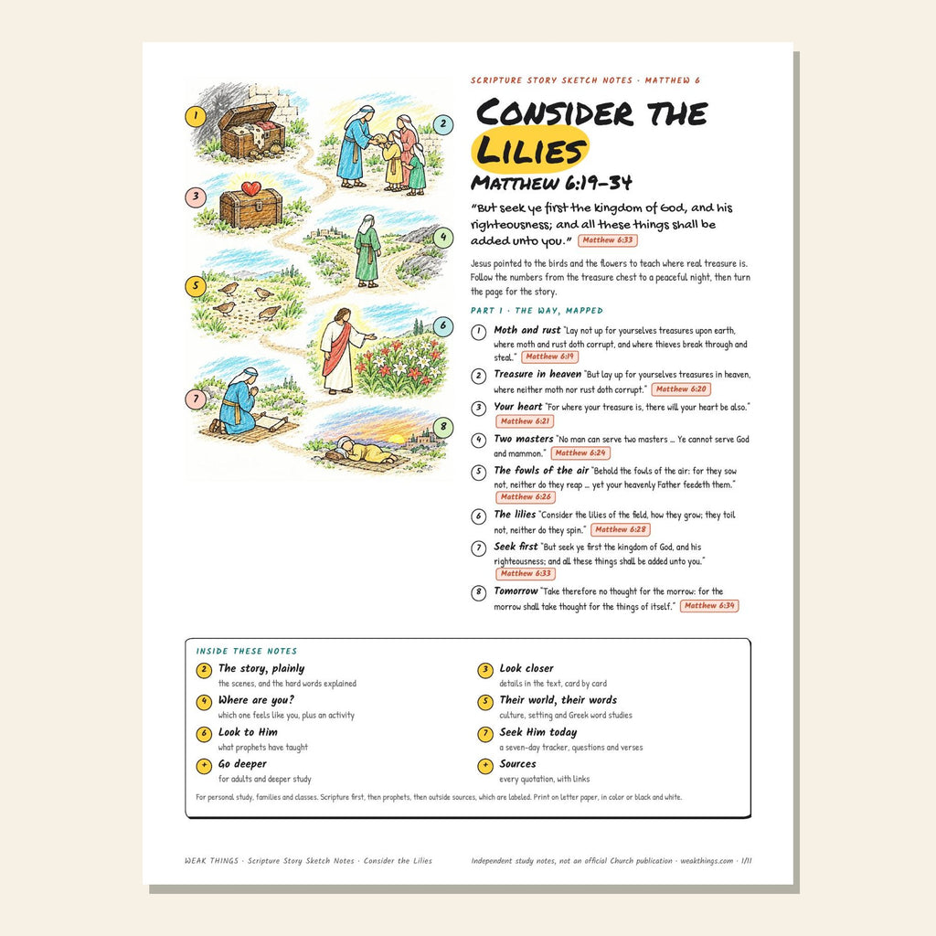 Consider the Lilies sketch notes cover with a hand-drawn map
