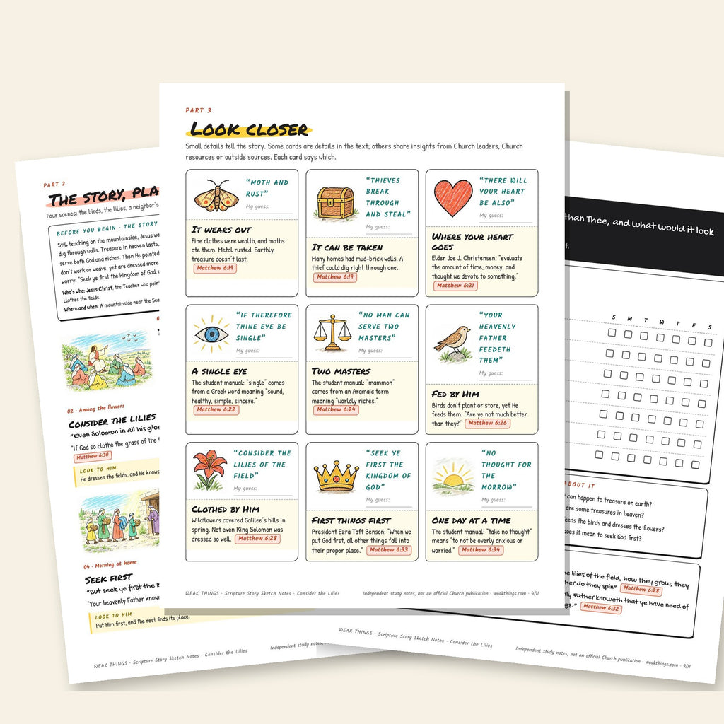 Three inside pages: the story, the detail cards and the seven-day tracker