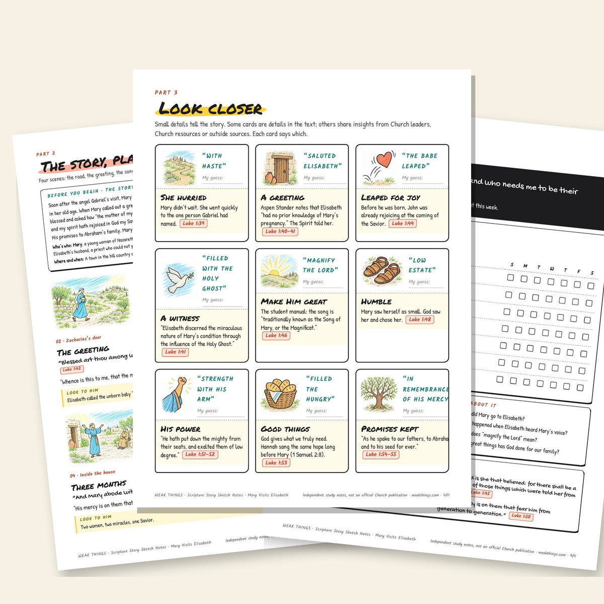 Three inside pages: the story, the detail cards and the seven-day tracker