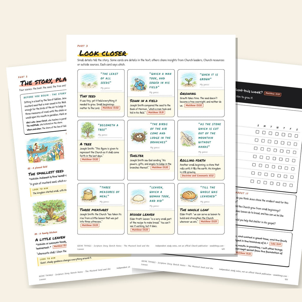 Three inside pages: the story, the detail cards and the seven-day tracker