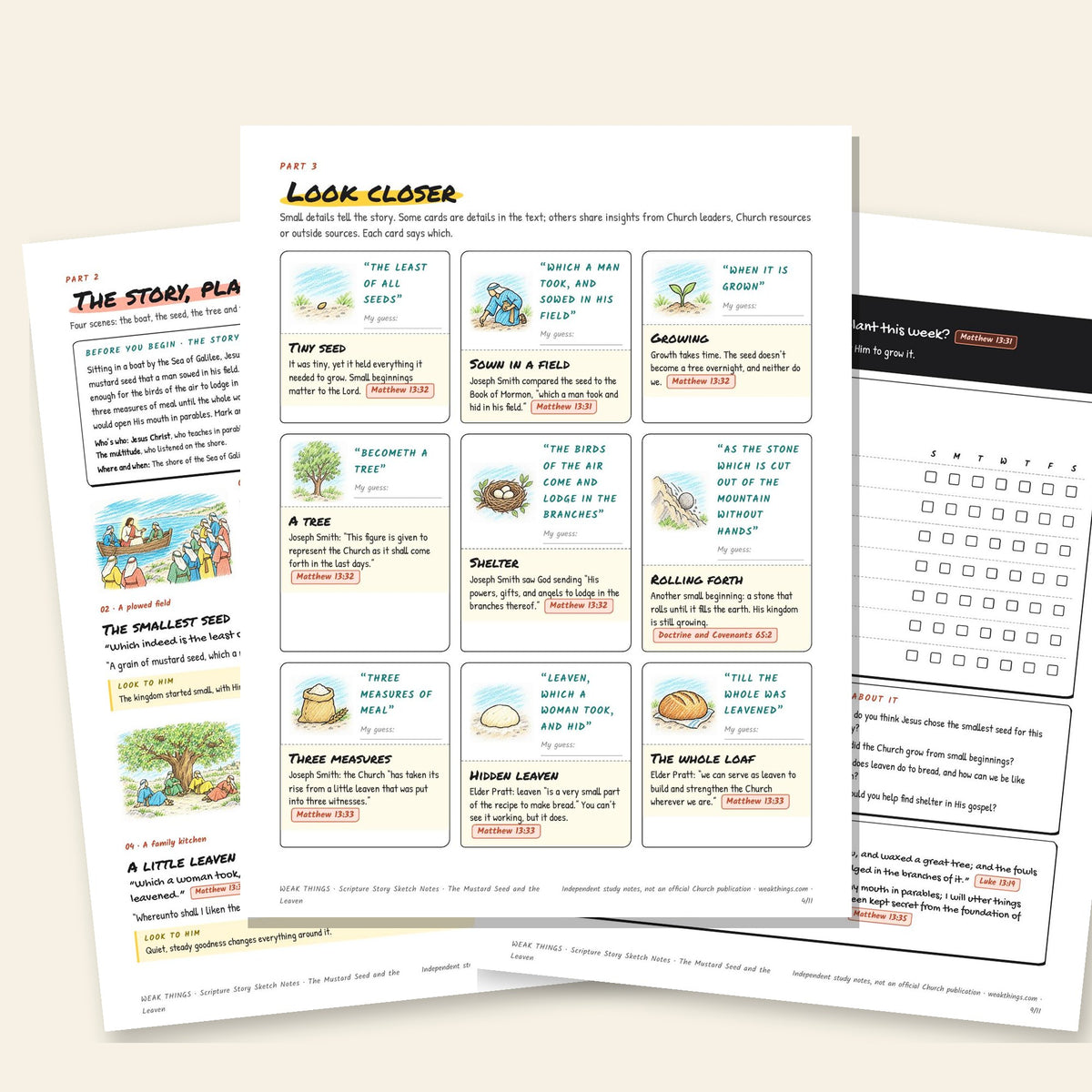 Three inside pages: the story, the detail cards and the seven-day tracker