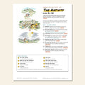 The Nativity sketch notes cover with a hand-drawn road map to Bethlehem
