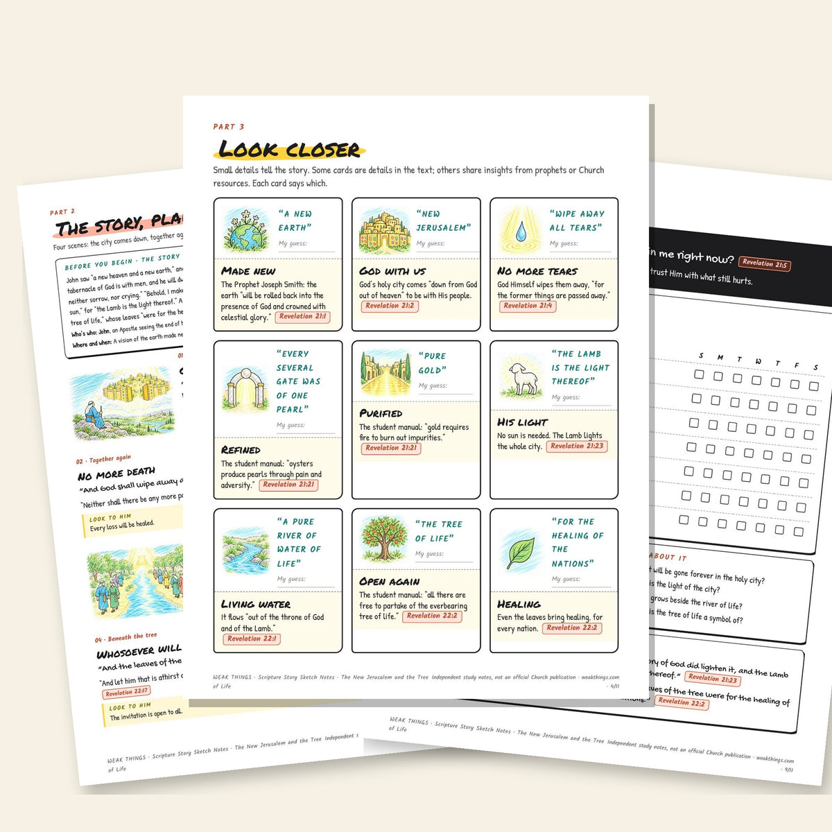 Three inside pages: the story, the detail cards and the seven-day tracker