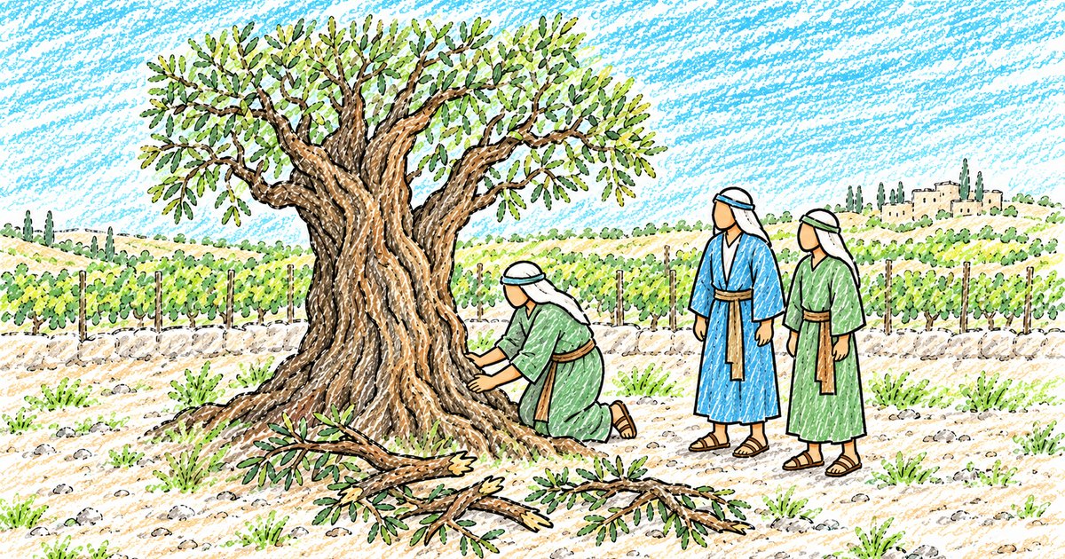 The Olive Tree sketch notes preview